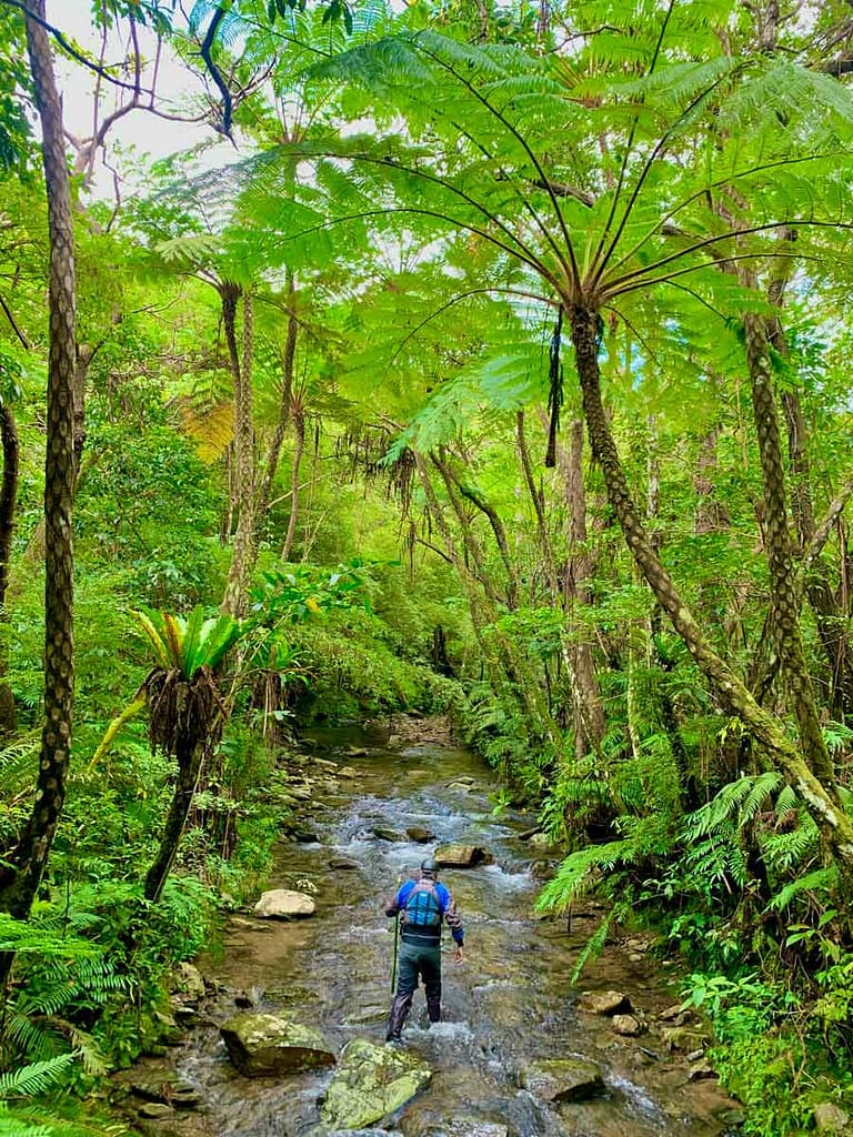 RiverTrekkingOkinawa | Okinawa River Trekking Tour